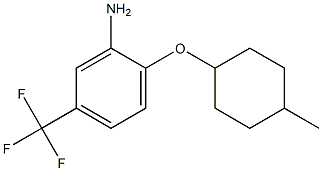 2-[(4-methylcyclohexyl)oxy]-5-(trifluoromethyl)aniline 구조식 이미지