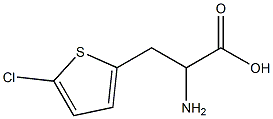 2-amino-3-(5-chlorothien-2-yl)propanoic acid 구조식 이미지