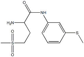 2-amino-4-methanesulfonyl-N-[3-(methylsulfanyl)phenyl]butanamide 구조식 이미지