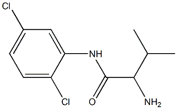 2-amino-N-(2,5-dichlorophenyl)-3-methylbutanamide Structure