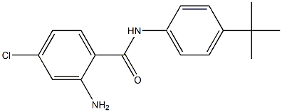 2-amino-N-(4-tert-butylphenyl)-4-chlorobenzamide 구조식 이미지