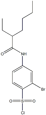 2-bromo-4-(2-ethylhexanamido)benzene-1-sulfonyl chloride 구조식 이미지