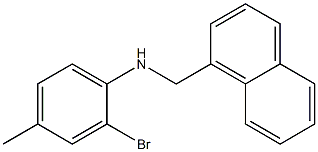 2-bromo-4-methyl-N-(naphthalen-1-ylmethyl)aniline 구조식 이미지