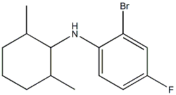 2-bromo-N-(2,6-dimethylcyclohexyl)-4-fluoroaniline Structure