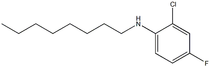 2-chloro-4-fluoro-N-octylaniline Structure