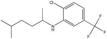 2-chloro-N-(5-methylhexan-2-yl)-5-(trifluoromethyl)aniline Structure