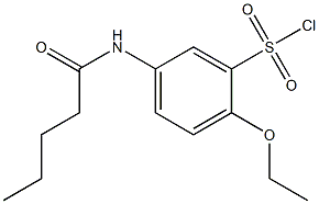 2-ethoxy-5-pentanamidobenzene-1-sulfonyl chloride 구조식 이미지