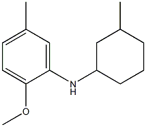 2-methoxy-5-methyl-N-(3-methylcyclohexyl)aniline Structure