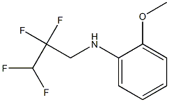 2-methoxy-N-(2,2,3,3-tetrafluoropropyl)aniline 구조식 이미지