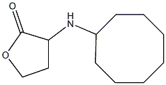 3-(cyclooctylamino)oxolan-2-one Structure