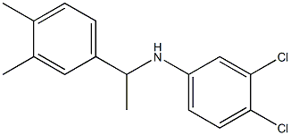 3,4-dichloro-N-[1-(3,4-dimethylphenyl)ethyl]aniline 구조식 이미지