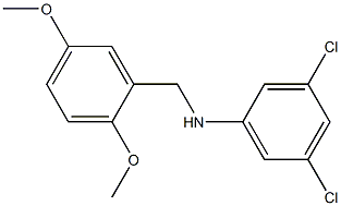 3,5-dichloro-N-[(2,5-dimethoxyphenyl)methyl]aniline 구조식 이미지