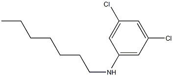 3,5-dichloro-N-heptylaniline 구조식 이미지