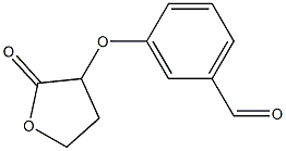 3-[(2-oxooxolan-3-yl)oxy]benzaldehyde Structure