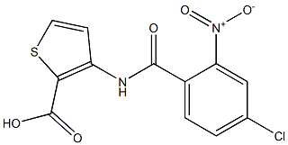 3-[(4-chloro-2-nitrobenzene)amido]thiophene-2-carboxylic acid Structure