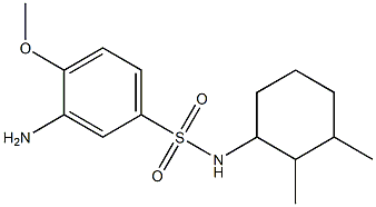 3-amino-N-(2,3-dimethylcyclohexyl)-4-methoxybenzene-1-sulfonamide 구조식 이미지