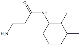 3-amino-N-(2,3-dimethylcyclohexyl)propanamide Structure