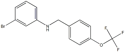 3-bromo-N-{[4-(trifluoromethoxy)phenyl]methyl}aniline 구조식 이미지