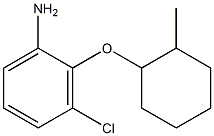 3-chloro-2-[(2-methylcyclohexyl)oxy]aniline 구조식 이미지