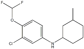 3-chloro-4-(difluoromethoxy)-N-(3-methylcyclohexyl)aniline 구조식 이미지