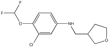 3-chloro-4-(difluoromethoxy)-N-(oxolan-3-ylmethyl)aniline Structure