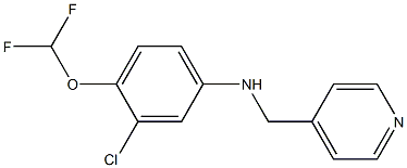 3-chloro-4-(difluoromethoxy)-N-(pyridin-4-ylmethyl)aniline 구조식 이미지