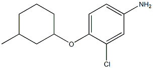 3-chloro-4-[(3-methylcyclohexyl)oxy]aniline Structure