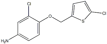 3-chloro-4-[(5-chlorothiophen-2-yl)methoxy]aniline Structure