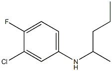 3-chloro-4-fluoro-N-(pentan-2-yl)aniline 구조식 이미지