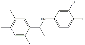 3-chloro-4-fluoro-N-[1-(2,4,5-trimethylphenyl)ethyl]aniline Structure