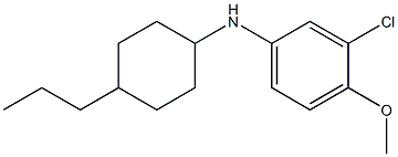 3-chloro-4-methoxy-N-(4-propylcyclohexyl)aniline 구조식 이미지