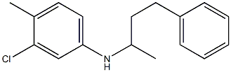 3-chloro-4-methyl-N-(4-phenylbutan-2-yl)aniline 구조식 이미지