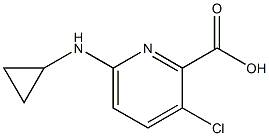 3-chloro-6-(cyclopropylamino)pyridine-2-carboxylic acid 구조식 이미지