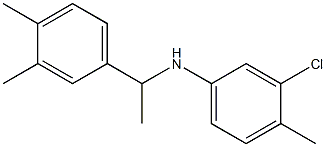 3-chloro-N-[1-(3,4-dimethylphenyl)ethyl]-4-methylaniline Structure