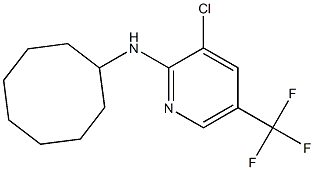 3-chloro-N-cyclooctyl-5-(trifluoromethyl)pyridin-2-amine Structure