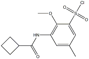 3-cyclobutaneamido-2-methoxy-5-methylbenzene-1-sulfonyl chloride 구조식 이미지