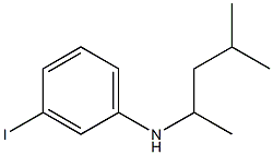 3-iodo-N-(4-methylpentan-2-yl)aniline Structure