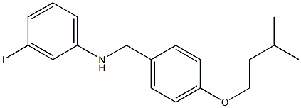 3-iodo-N-{[4-(3-methylbutoxy)phenyl]methyl}aniline 구조식 이미지