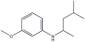 3-methoxy-N-(4-methylpentan-2-yl)aniline 구조식 이미지