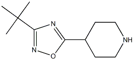 3-tert-butyl-5-(piperidin-4-yl)-1,2,4-oxadiazole 구조식 이미지