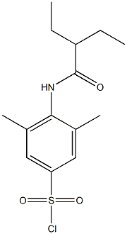 4-(2-ethylbutanamido)-3,5-dimethylbenzene-1-sulfonyl chloride 구조식 이미지