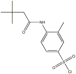 4-(3,3-dimethylbutanamido)-3-methylbenzene-1-sulfonyl chloride 구조식 이미지