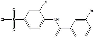 4-[(3-bromobenzene)amido]-3-chlorobenzene-1-sulfonyl chloride Structure