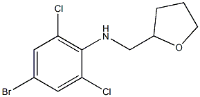 4-bromo-2,6-dichloro-N-(oxolan-2-ylmethyl)aniline 구조식 이미지