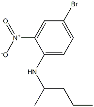 4-bromo-2-nitro-N-(pentan-2-yl)aniline 구조식 이미지