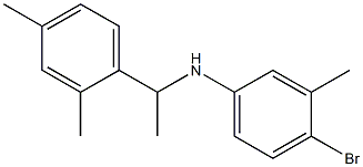 4-bromo-N-[1-(2,4-dimethylphenyl)ethyl]-3-methylaniline Structure