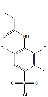 4-butanamido-3,5-dichloro-2-methylbenzene-1-sulfonyl chloride 구조식 이미지