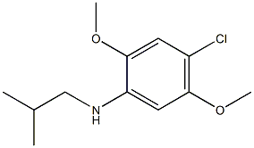 4-chloro-2,5-dimethoxy-N-(2-methylpropyl)aniline 구조식 이미지