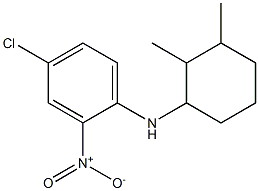 4-chloro-N-(2,3-dimethylcyclohexyl)-2-nitroaniline 구조식 이미지