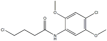4-chloro-N-(4-chloro-2,5-dimethoxyphenyl)butanamide Structure